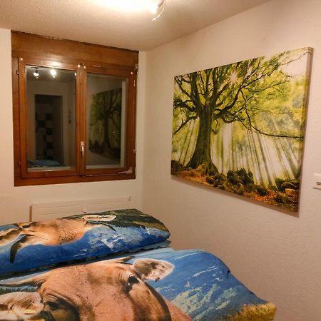 Camenzind Apartment Герзау Екстериор снимка