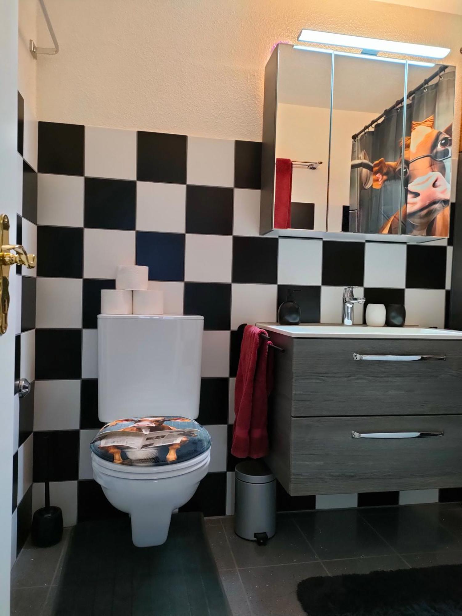 Camenzind Apartment Герзау Екстериор снимка